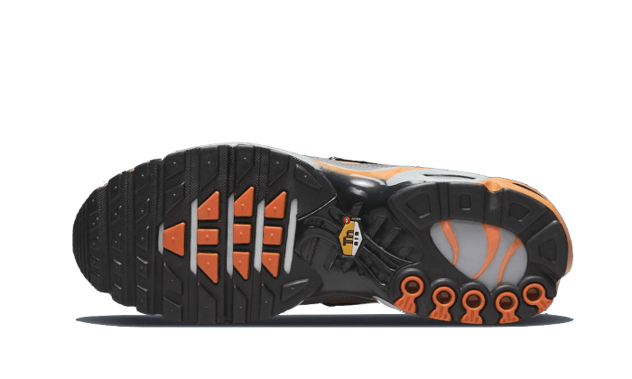 NikeAirMaxPlusGreyBlackOrange2_800x.png